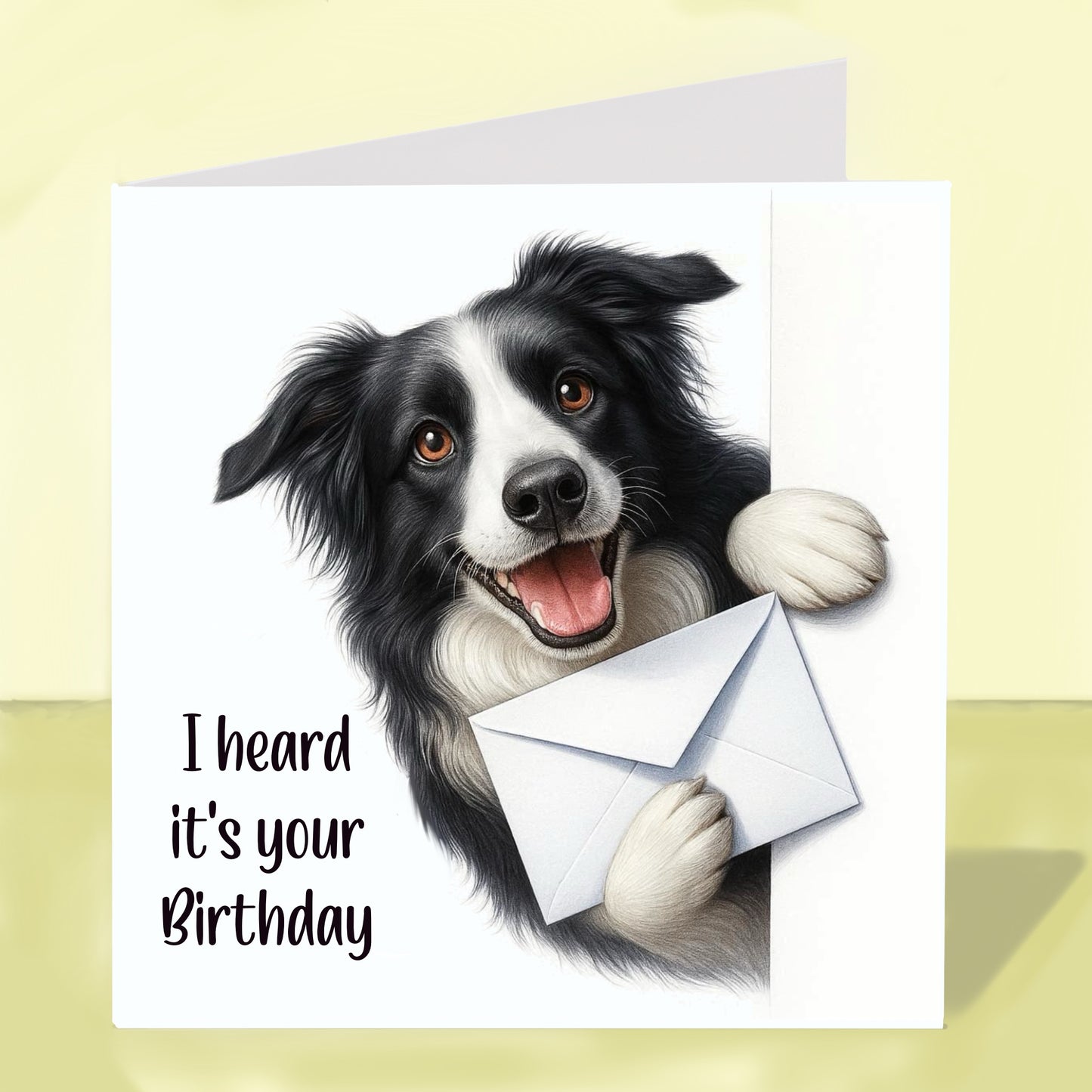 Border Collie - Birthday Card
