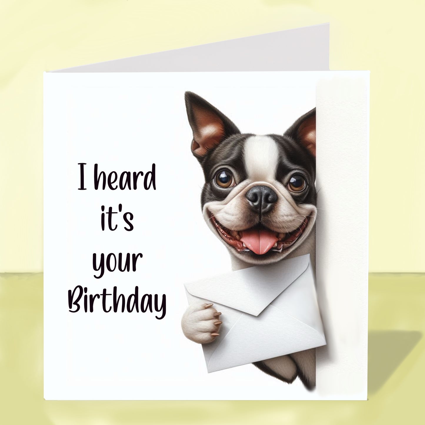 Boston Terrier - Birthday Card