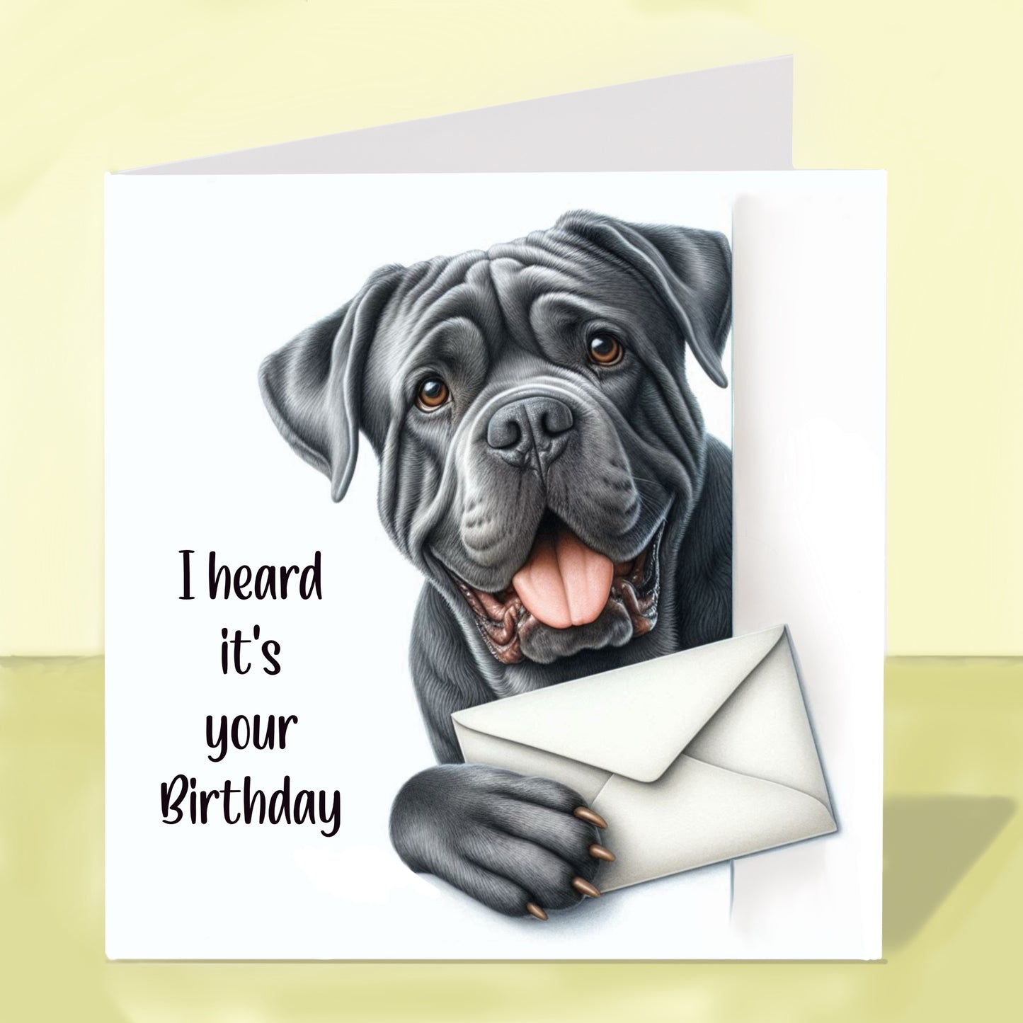 Cane Corso - Birthday Card