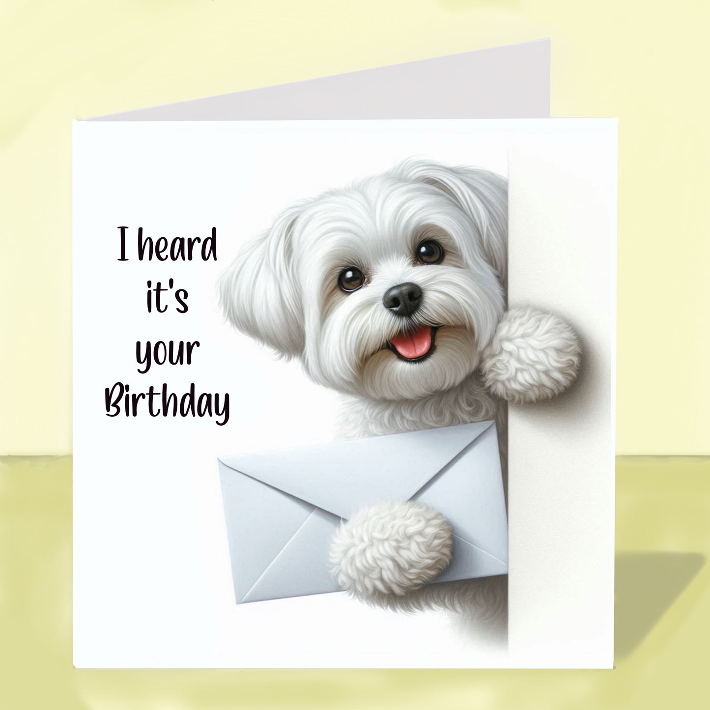 Maltese - Birthday Card