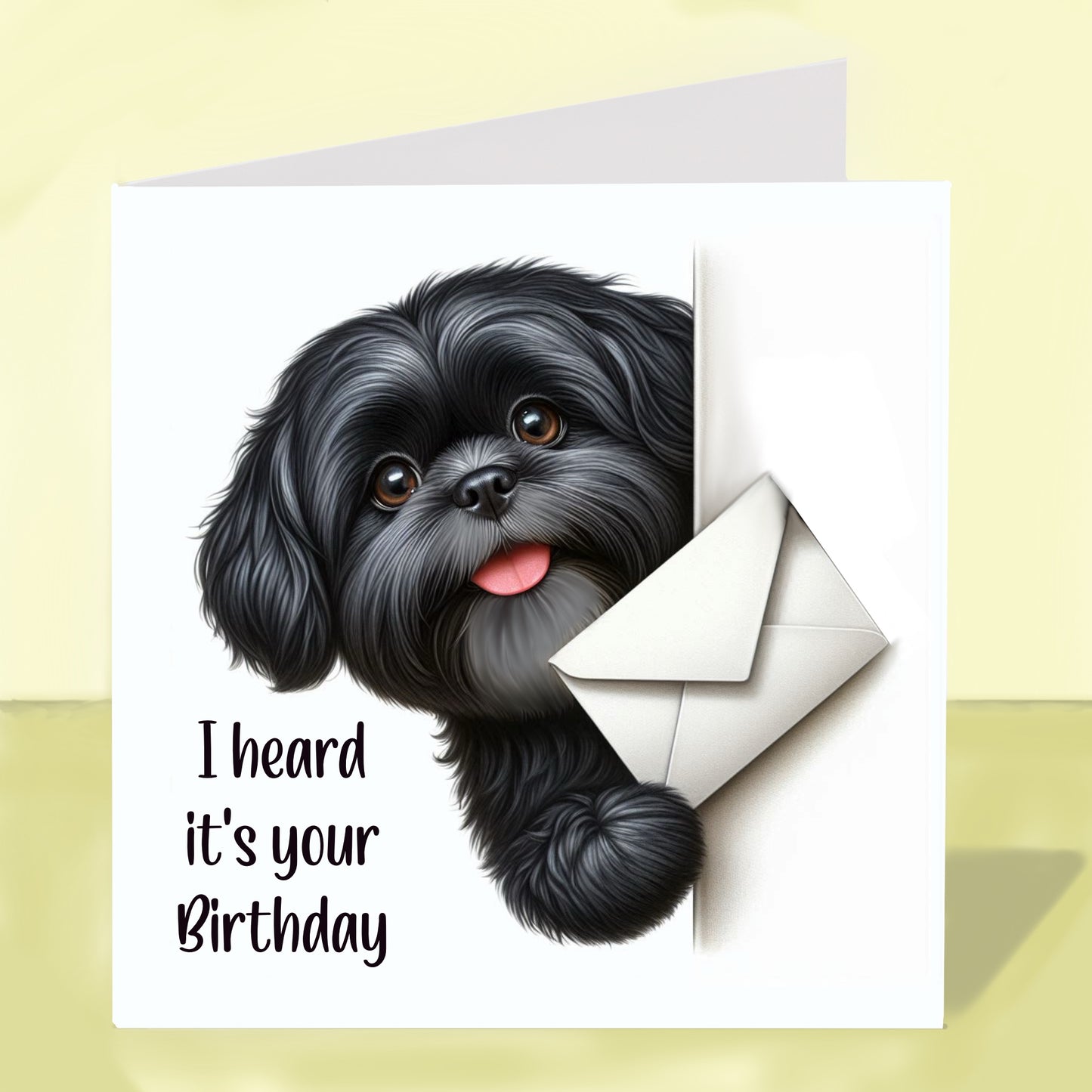 Shih Tzu - Birthday Card