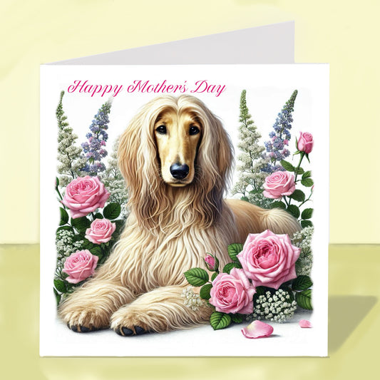 Afghan Hound Mother's Day Card