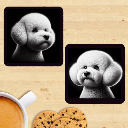 Bichon Frise - Black & White Coasters (Set of 2)