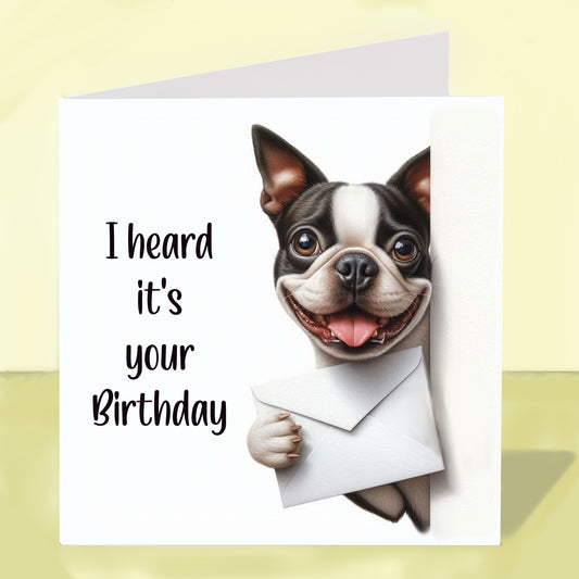 Boston Terrier - Birthday Card