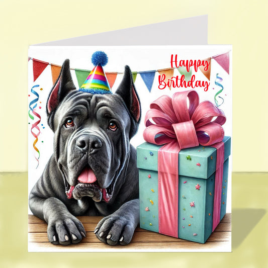 Cane Corso Birthday Card