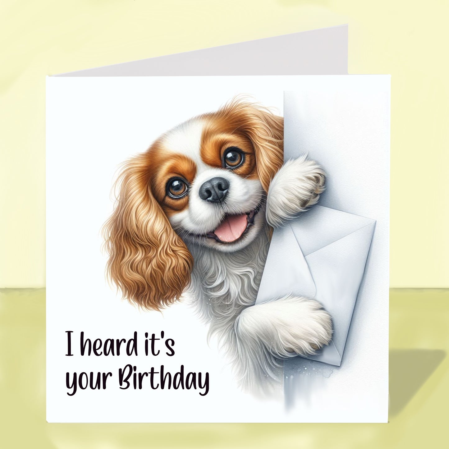 Cavalier King Charles Spaniel - Birthday Card