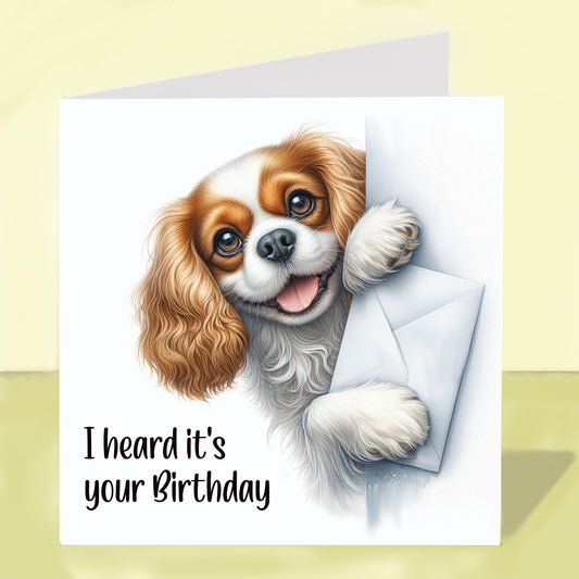 Cavalier King Charles Spaniel - Birthday Card