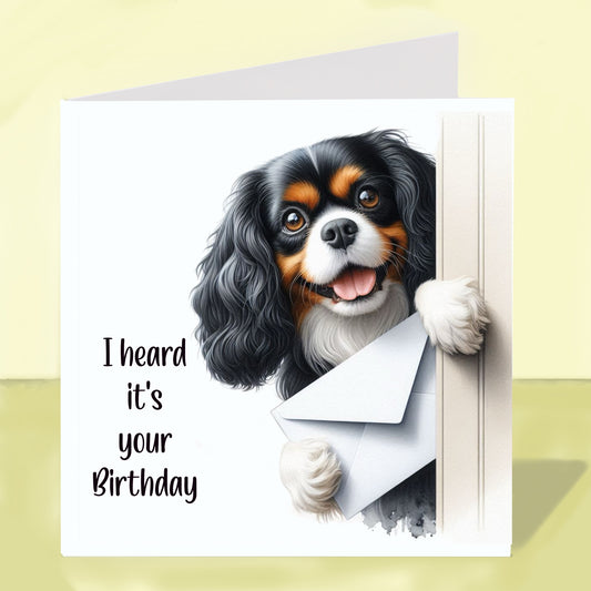 Cavalier King Charles Spaniel - Birthday Card