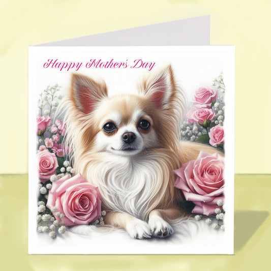 Chihuahua Longhaired Mother's Day Card