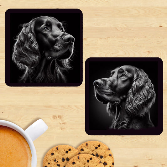 Irish Setter - Black & White Coasters (Set of 2)