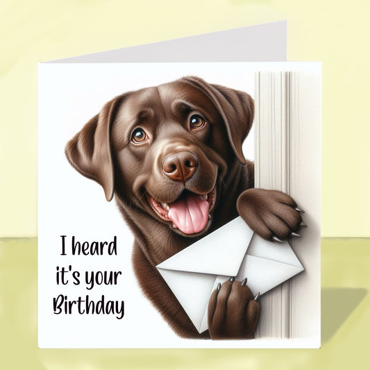 Labrador - Birthday Card
