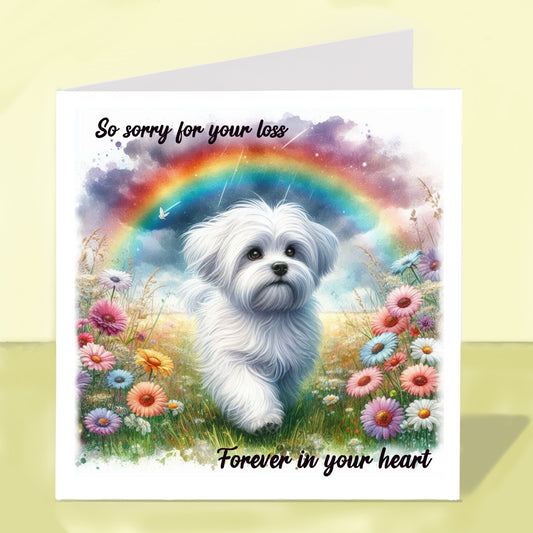 Maltese - Sorry For Your Loss Cards