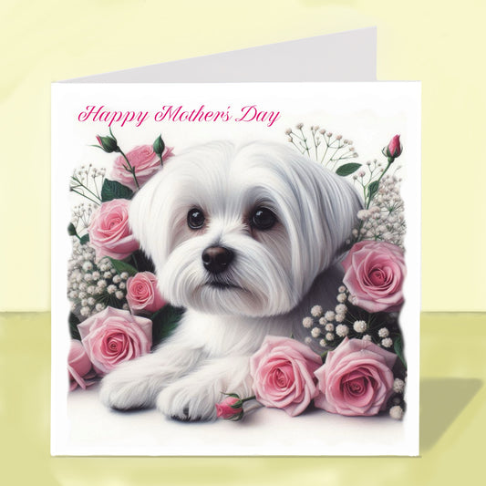 Maltese Mother's Day Card