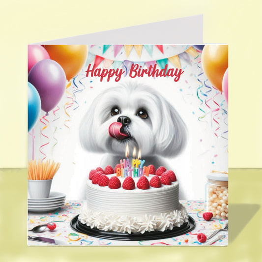 Maltese Birthday Card
