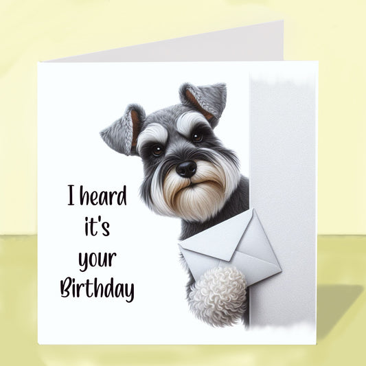 Miniature Schnauzer - Birthday Card