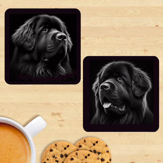 Newfoundland - Black & White Coasters (Set of 2)