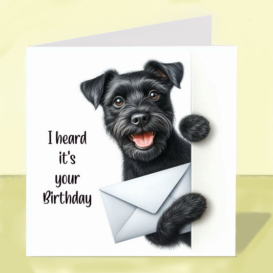 Patterdale Terrier - Birthday Card
