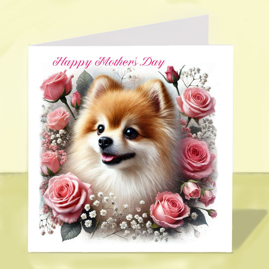 Pomeranian Mother's Day Card