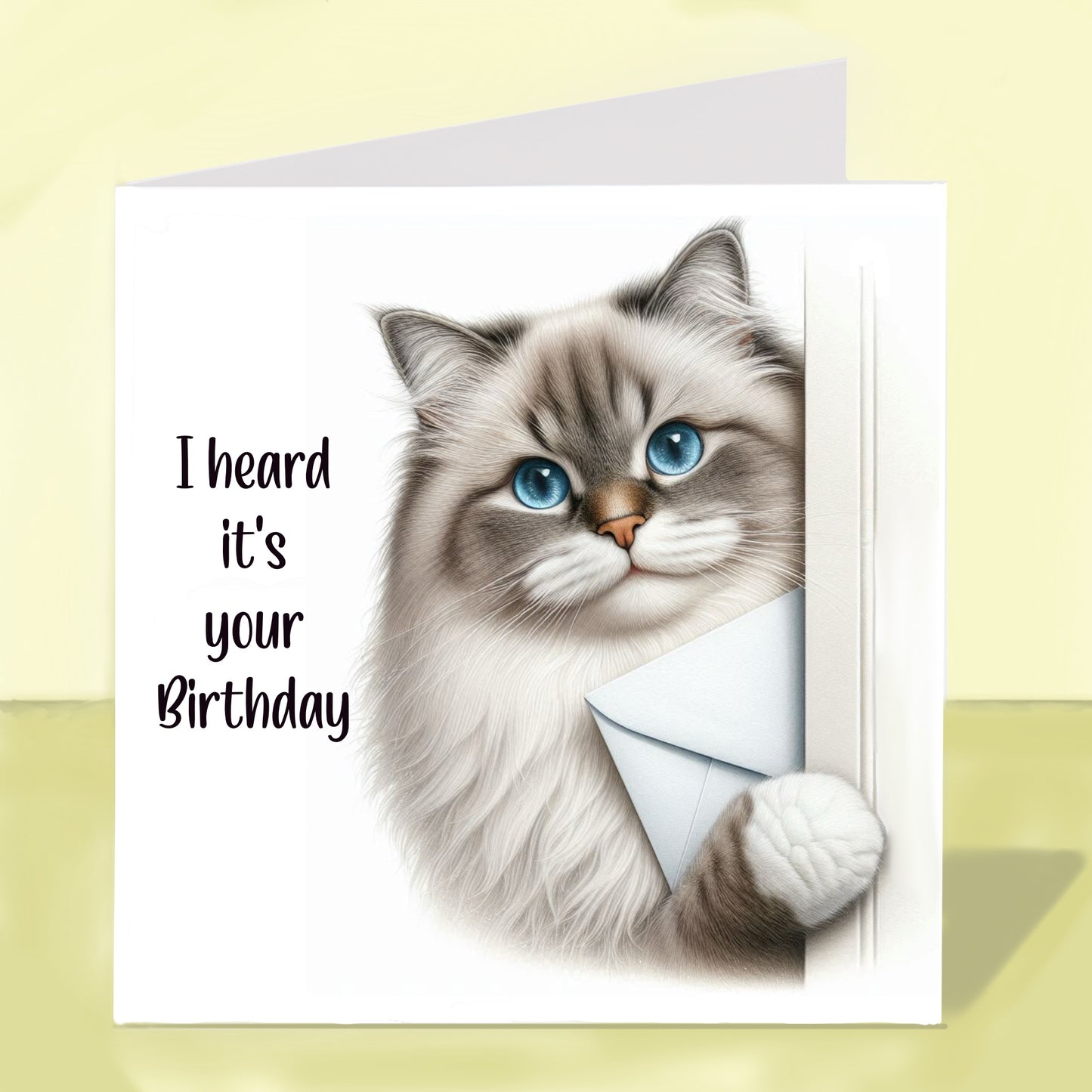 Ragdoll Cat - Birthday Card
