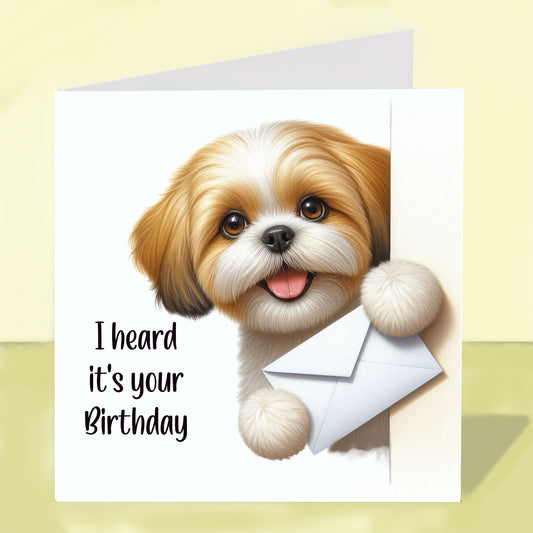 Shih Tzu - Birthday Card