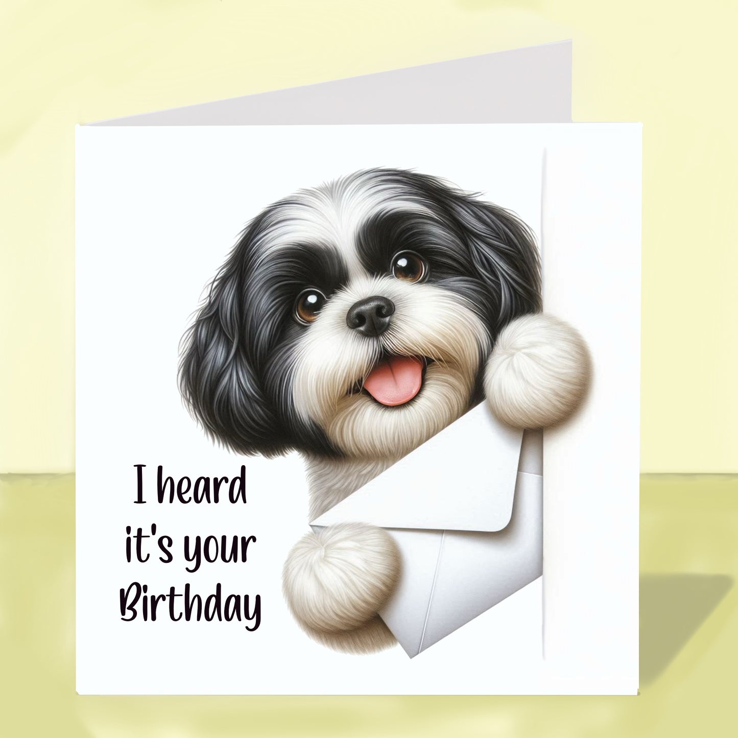Shih Tzu - Birthday Card