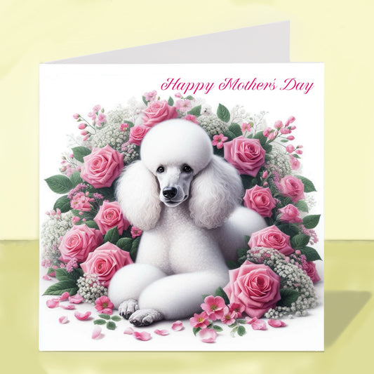 Standard Poodle Mother's Day Card (Various Colours)