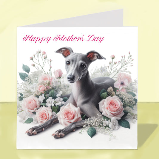 Whippet Mother's Day Card