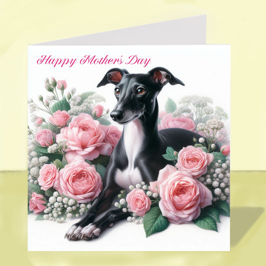Whippet Mother's Day Card