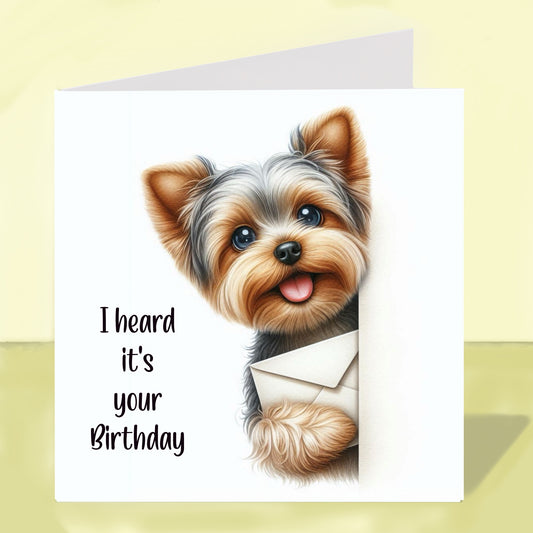 Yorkshire Terrier - Birthday Card